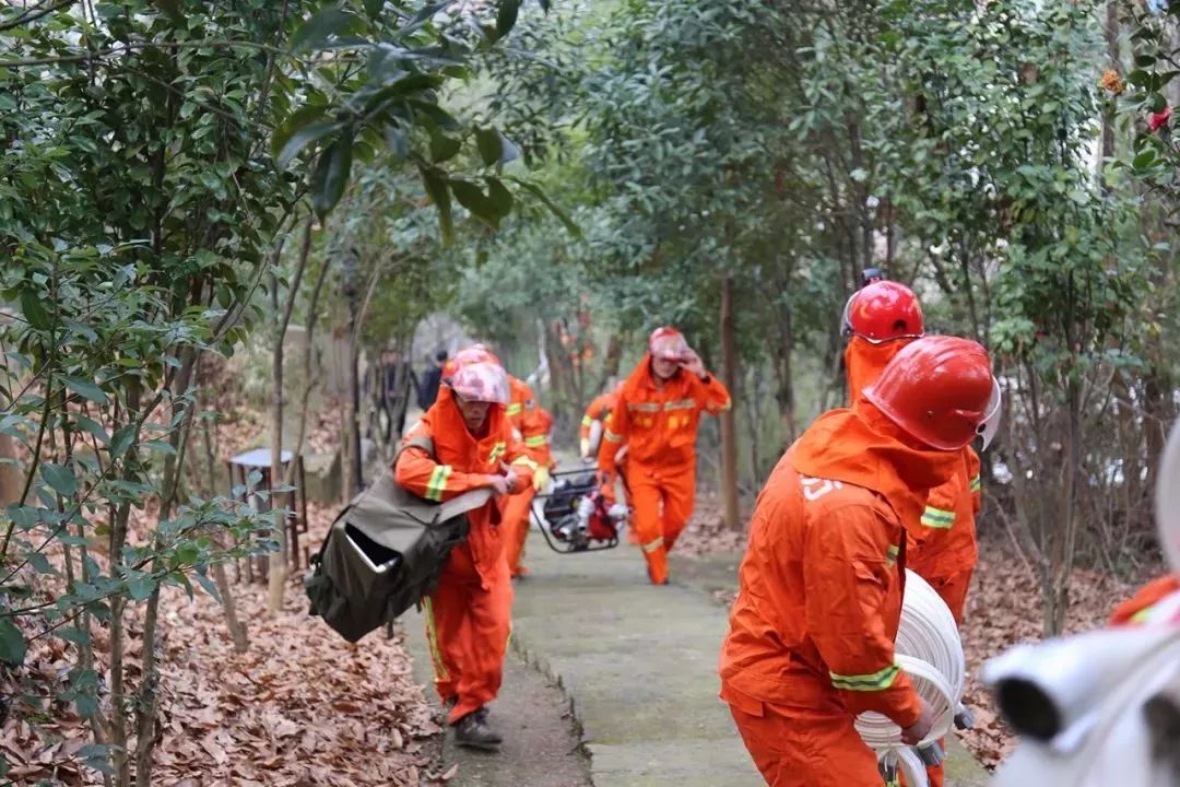 清明時節(jié)，區(qū)長緊盯森林防火，要求必須全力以赴，嚴防死守！