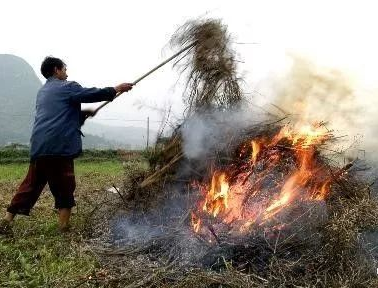 你年年都想燒的秸稈，今年可以吃票子了！