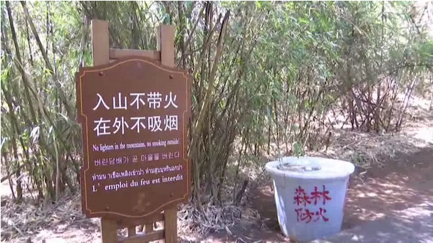 贊！雞足山景區(qū)連續(xù)35年無森林火災(zāi)，因?yàn)樗麄?..