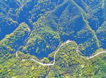 智能化，讓森林防火監(jiān)控管護更“智慧”